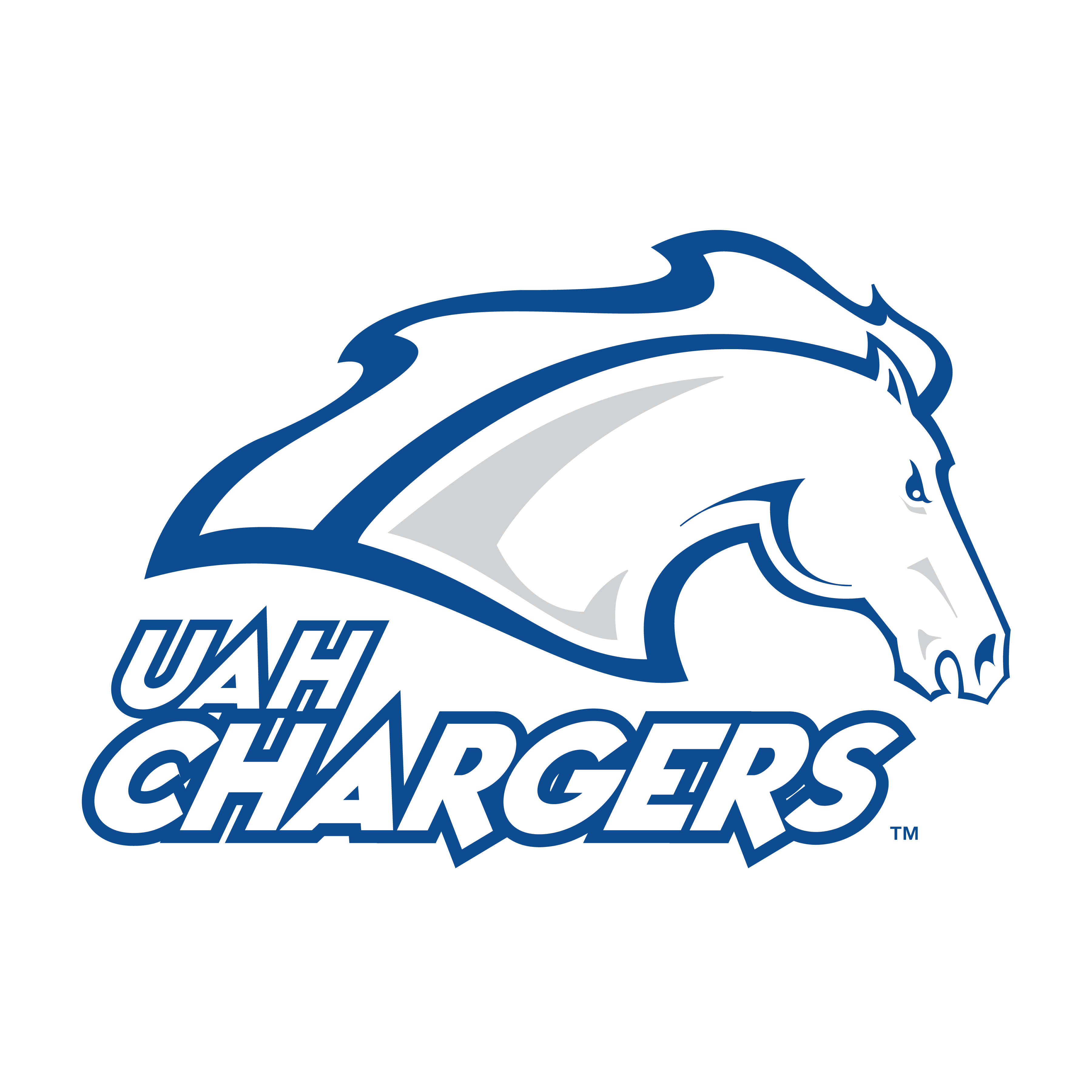 Partner organization 01