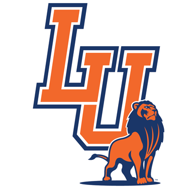 Partner organization 08