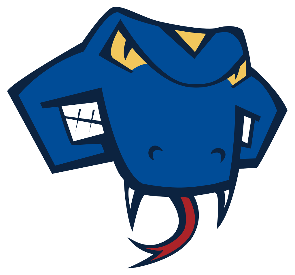 Partner organization 10