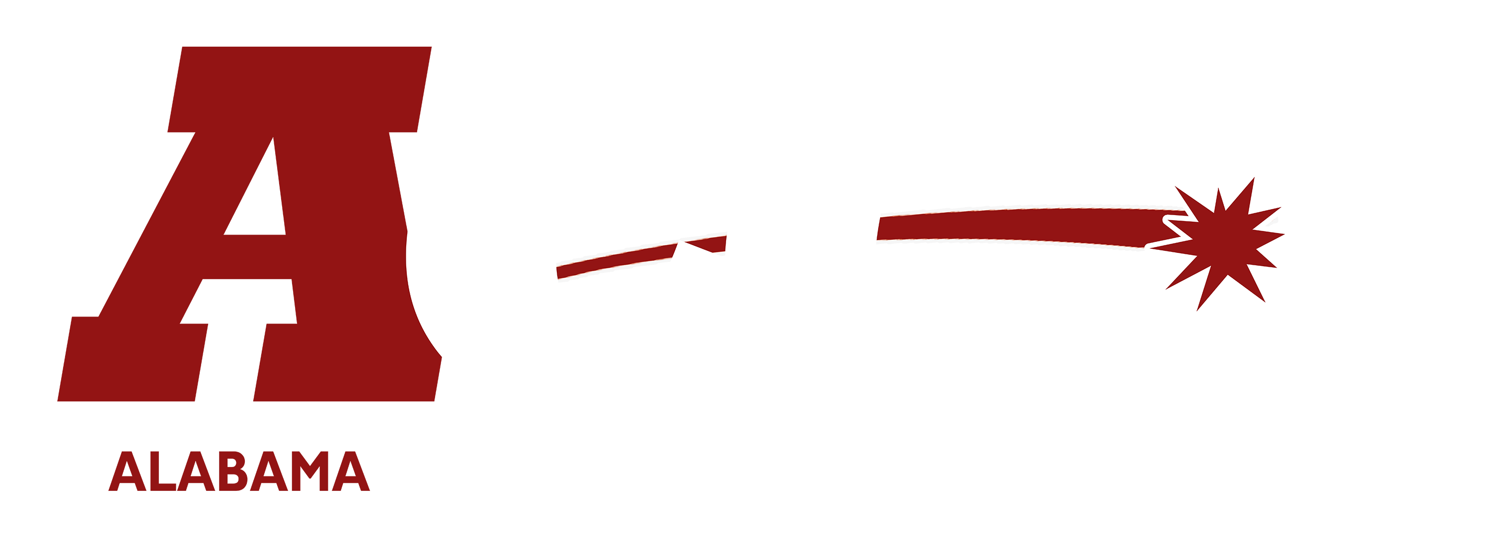 Partner organization 16