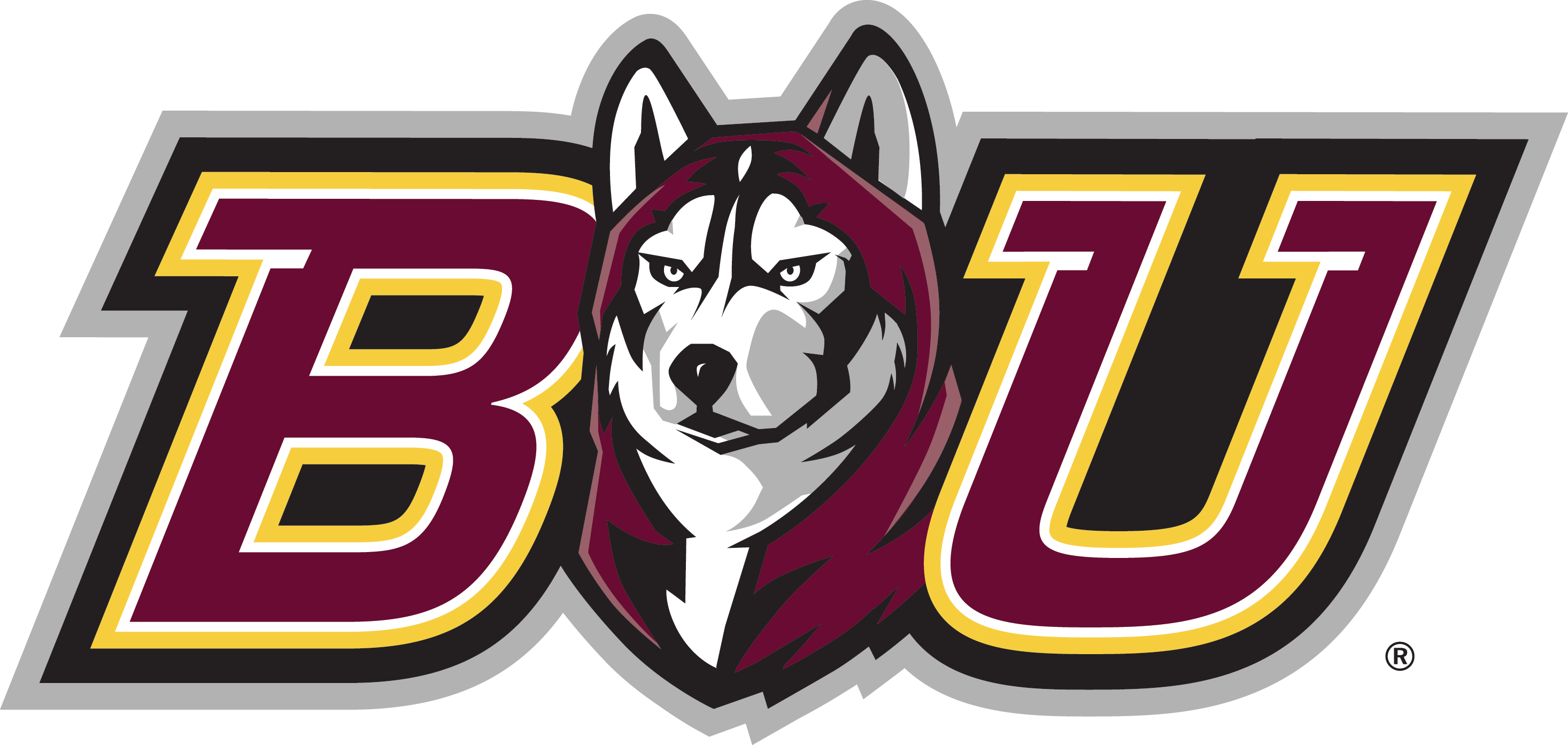 Partner organization 17