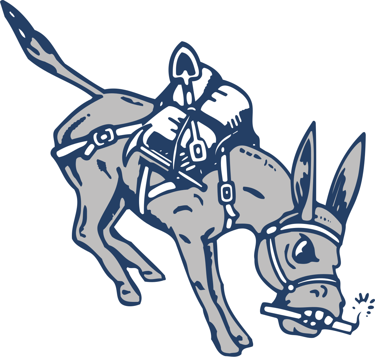 Partner organization 18